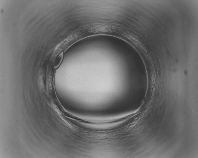 X0000054360489200507291025