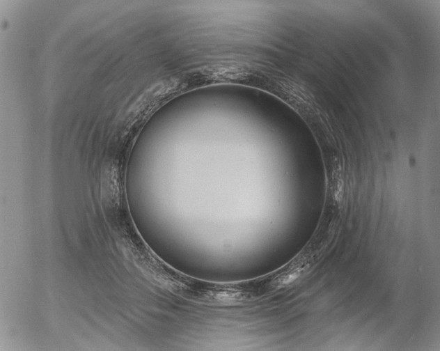 X0000054360506200507291025