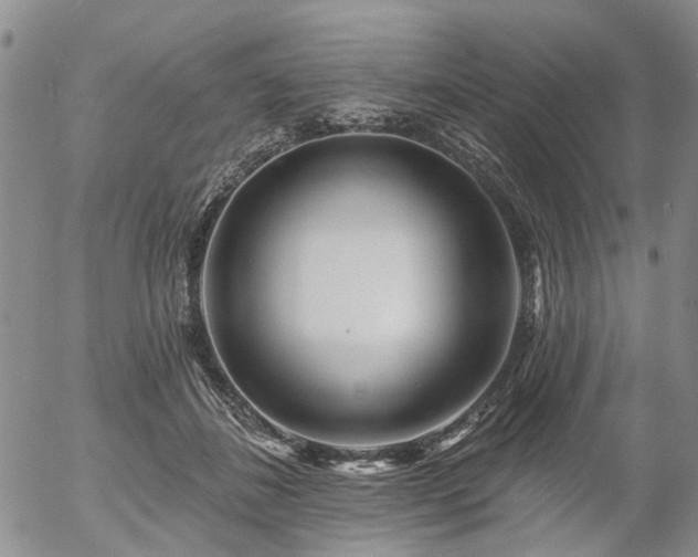 X0000054360508200507291025