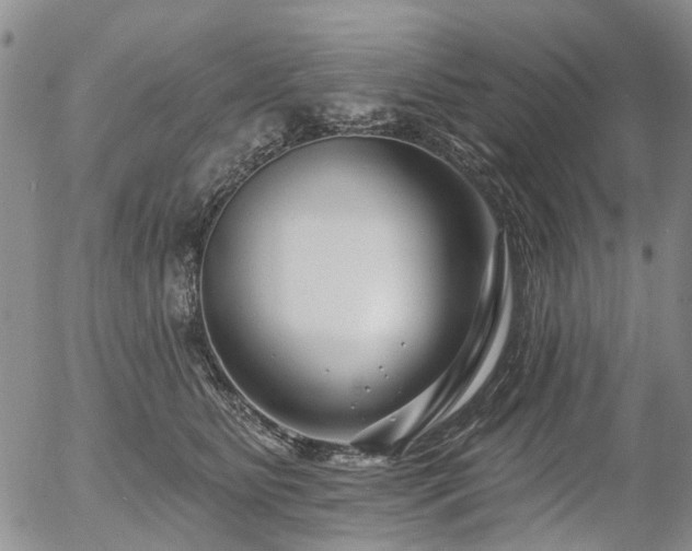 X0000054360515200507291025
