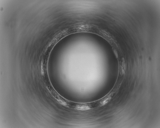 X0000054360520200507291025