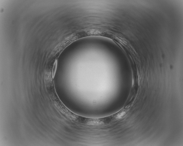 X0000054360521200507291025
