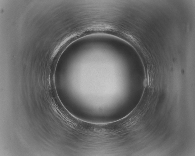 X0000054360531200507291024