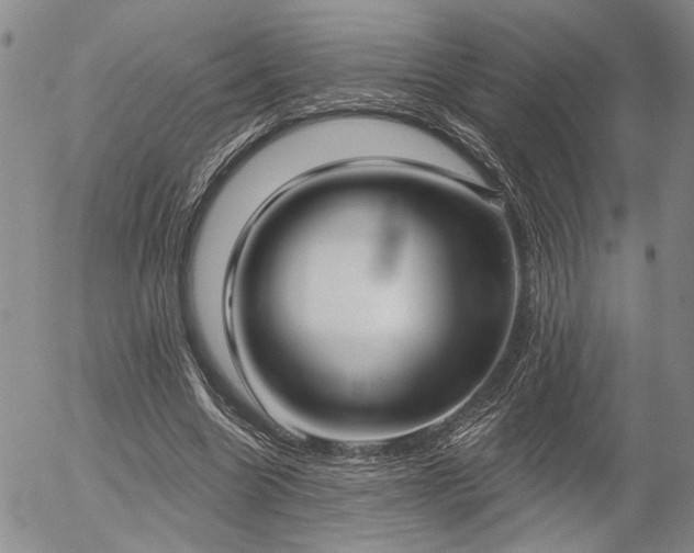 X0000054360538200507291024