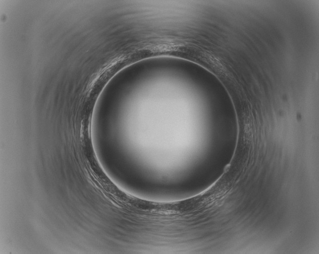 X0000054360539200507291024