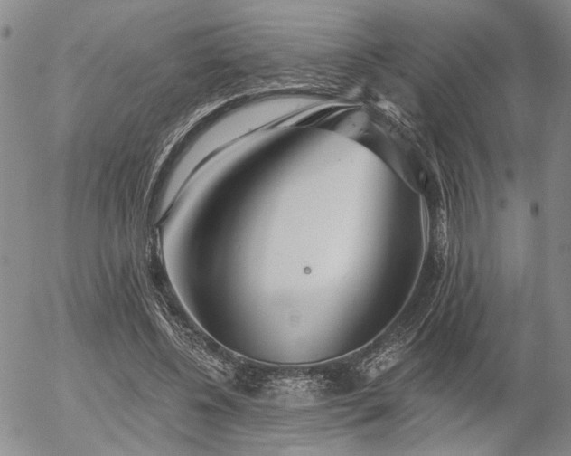 X0000054360540200507291024