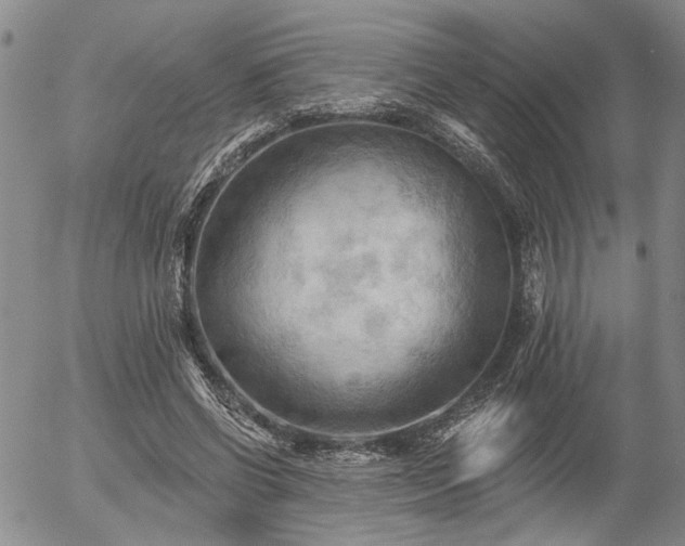 X0000054360542200507291024