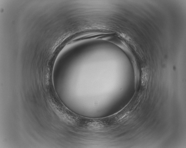 X0000054360544200507291024
