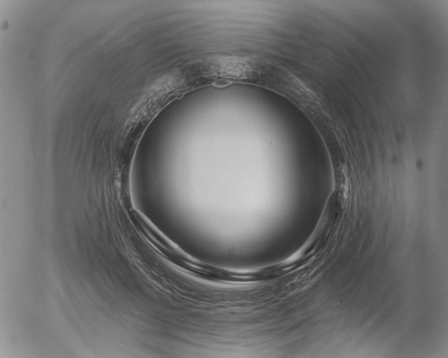 X0000054360552200507291024