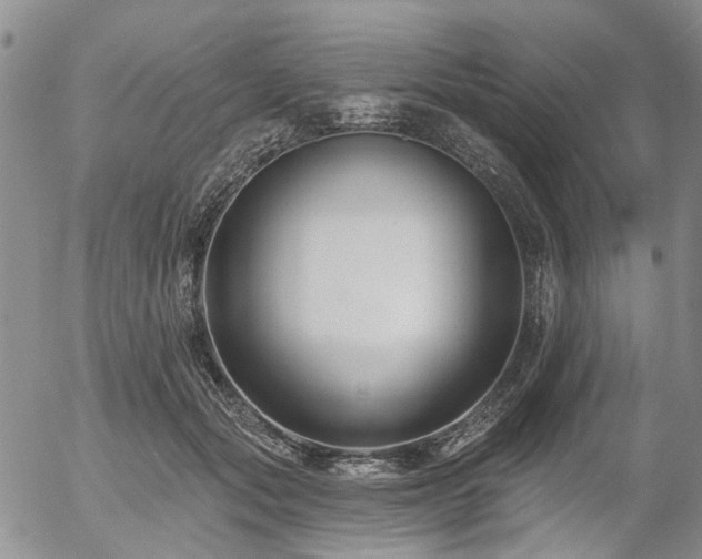 X0000054360557200507291024