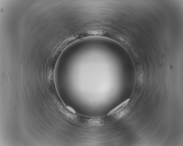 X0000054360574200507291024