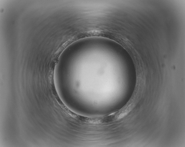 X0000054360576200507291024