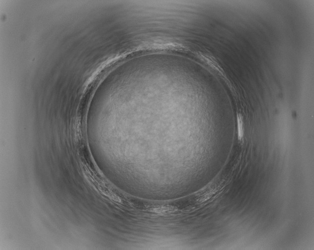X0000054360579200507291024