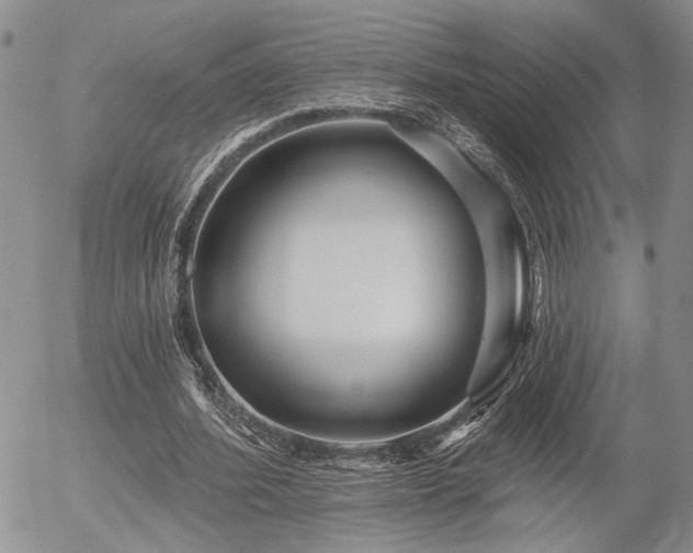 X0000054360580200507291024