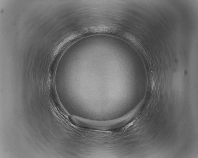 X0000054360583200507291023