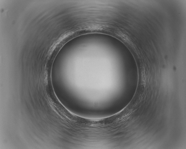X0000054360584200507291023