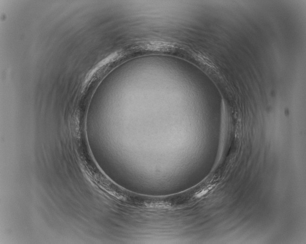 X0000054360587200507291023