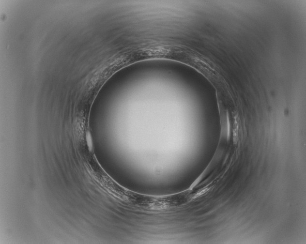 X0000054360604200507291023