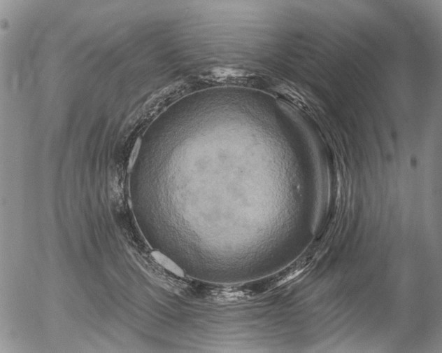 X0000054360607200507291023