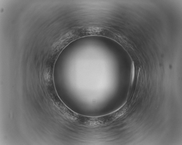 X0000054360608200507291023