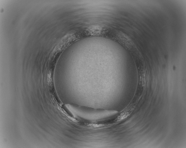X0000054360610200507291023