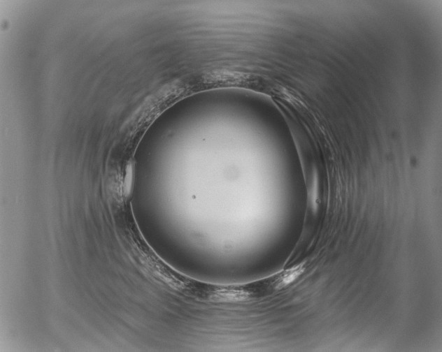 X0000054360617200507291023