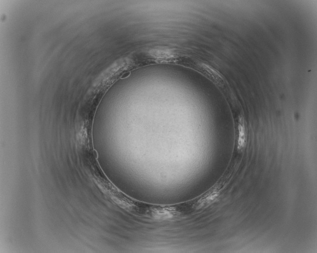 X0000054360618200507291023
