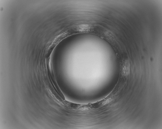X0000054360620200507291023