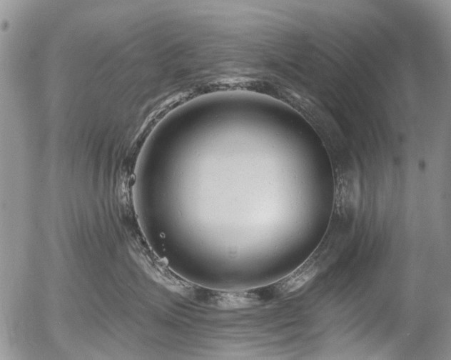 X0000054360623200507291023