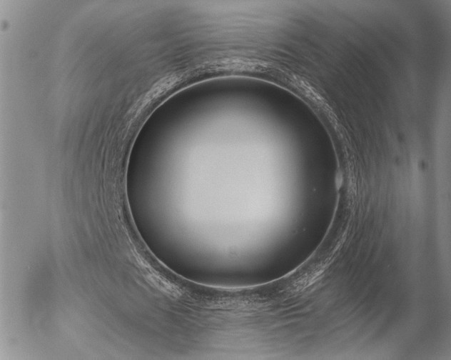 X0000054360625200507291022