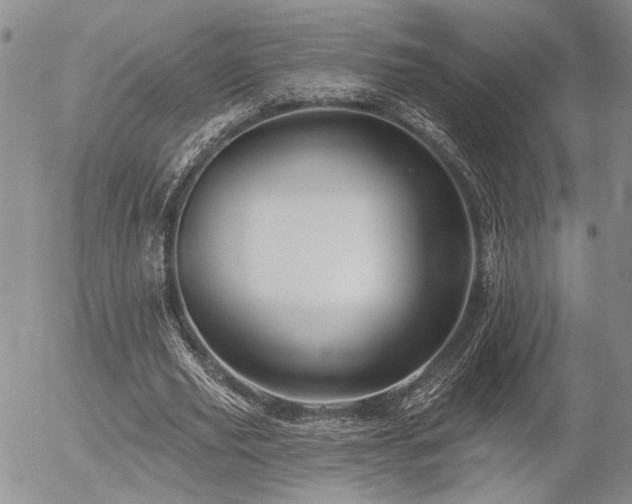 X0000054360629200507291022