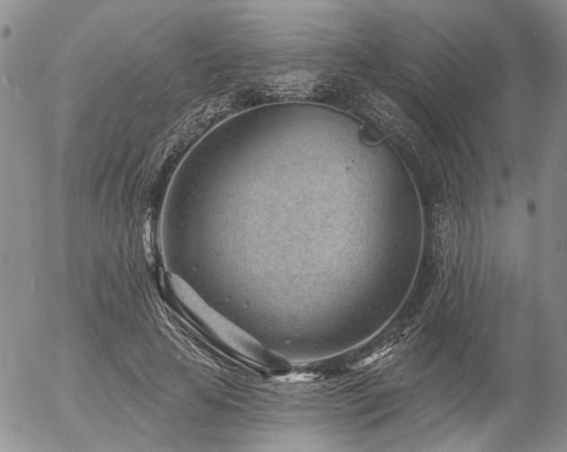 X0000054360641200507291022