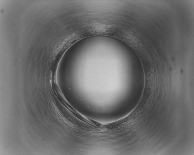 X0000054360642200507291022