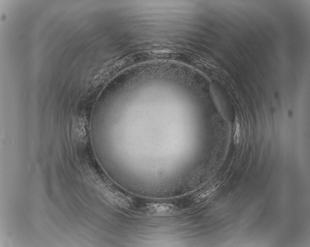 X0000054360654200507291022