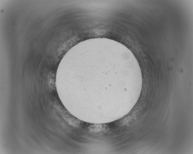 X0000054360672200507291023