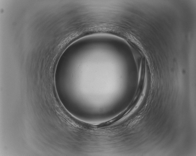 X0000054360673200507291022