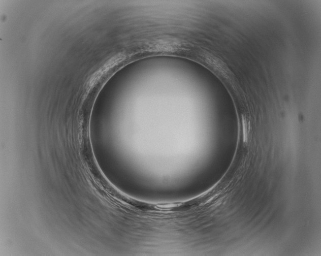 X0000054360675200507291022