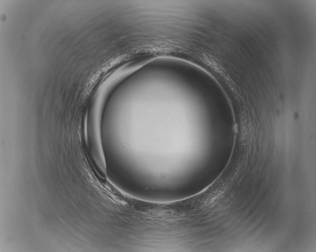 X0000054360681200507291022