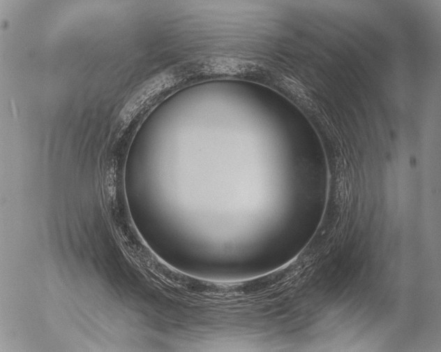 X0000054360683200507291022