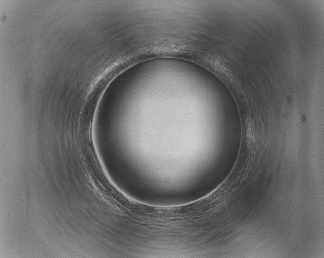 X0000054360684200507291022