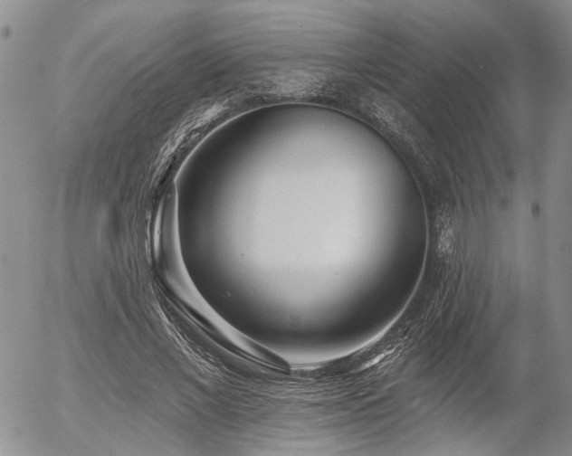 X0000054360685200507291022