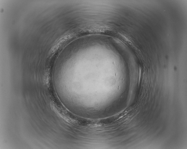 X0000054360687200507291022