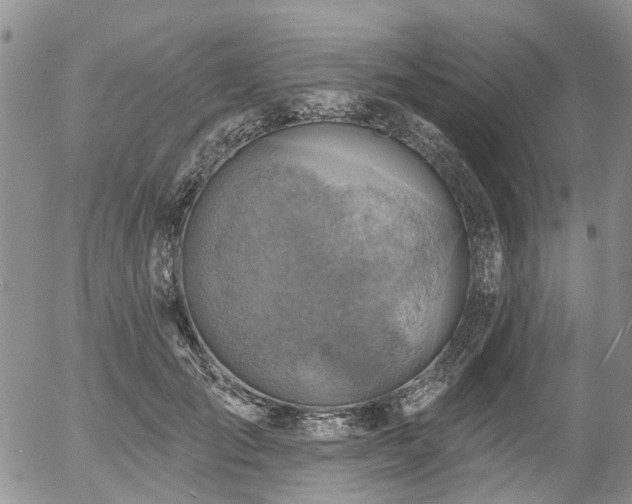 X0000054360701200507291022