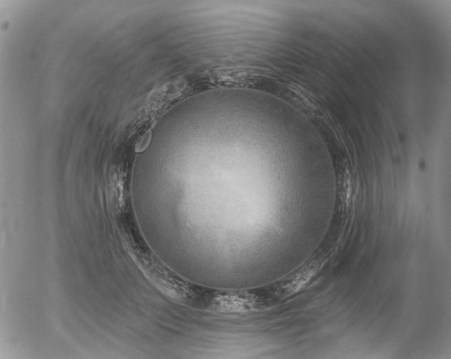 X0000054360703200507291021