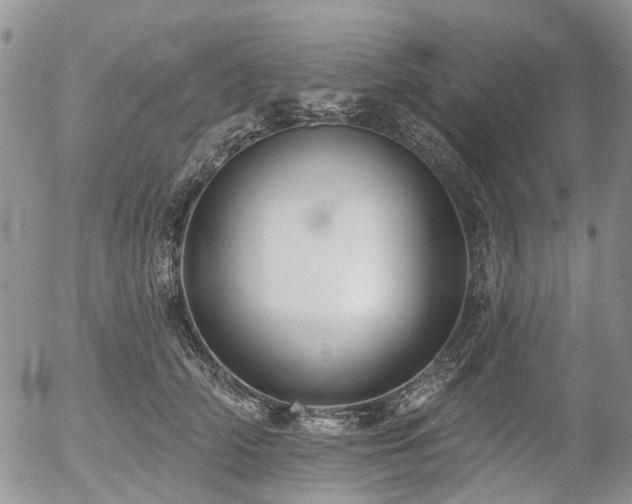 X0000054360706200507291021
