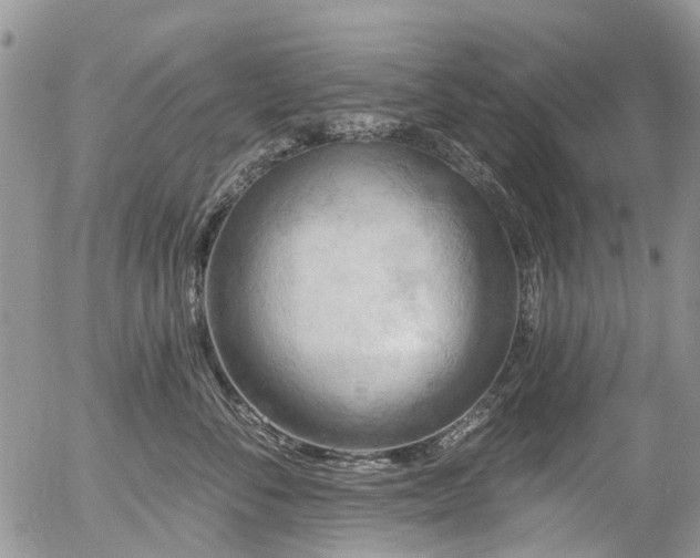 X0000054360716200507291021