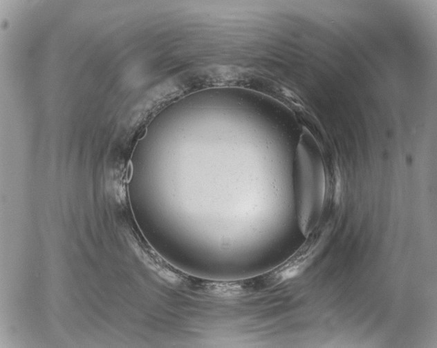 X0000054360719200507291021