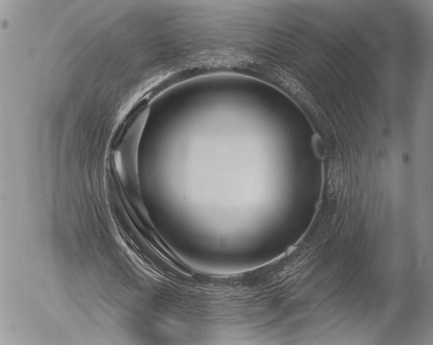 X0000054360722200507291020