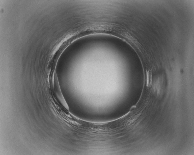 X0000054360723200507291020
