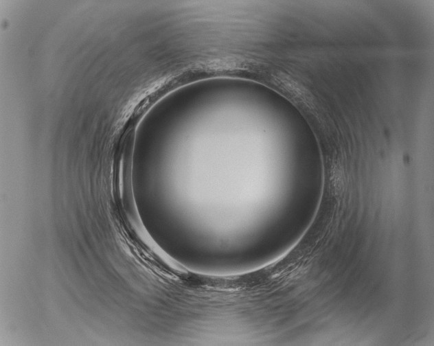 X0000054360732200507291021